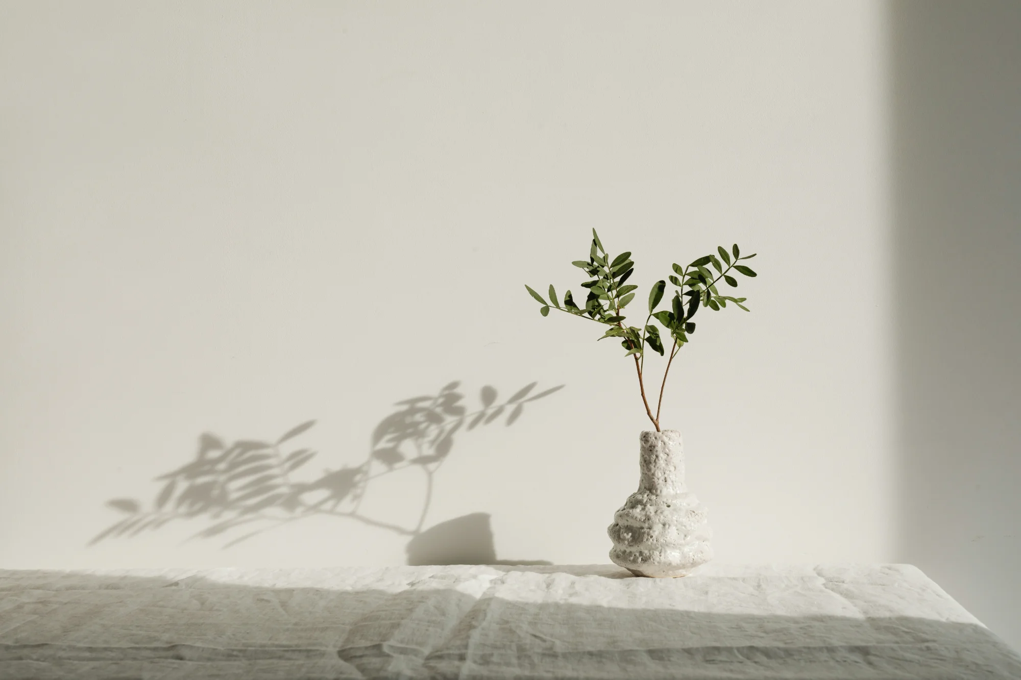 Vase céramique avec branche végétale